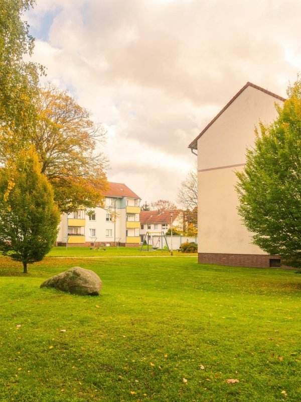 pexels-omar-aboud-3693175-35005673 pexels-omar-aboud-3693175-35005673