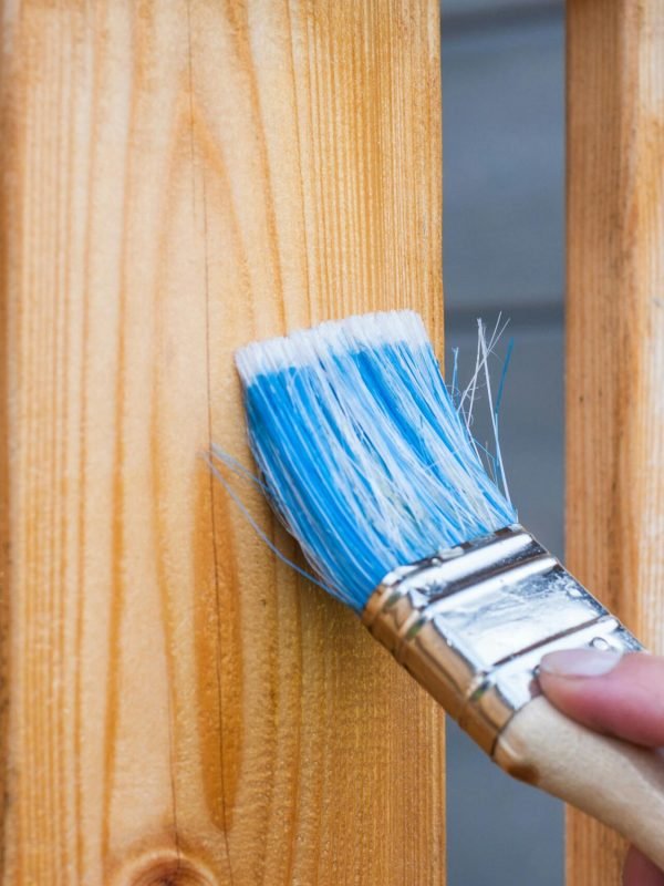 pexels-pixabay-221027 pexels-pixabay-221027